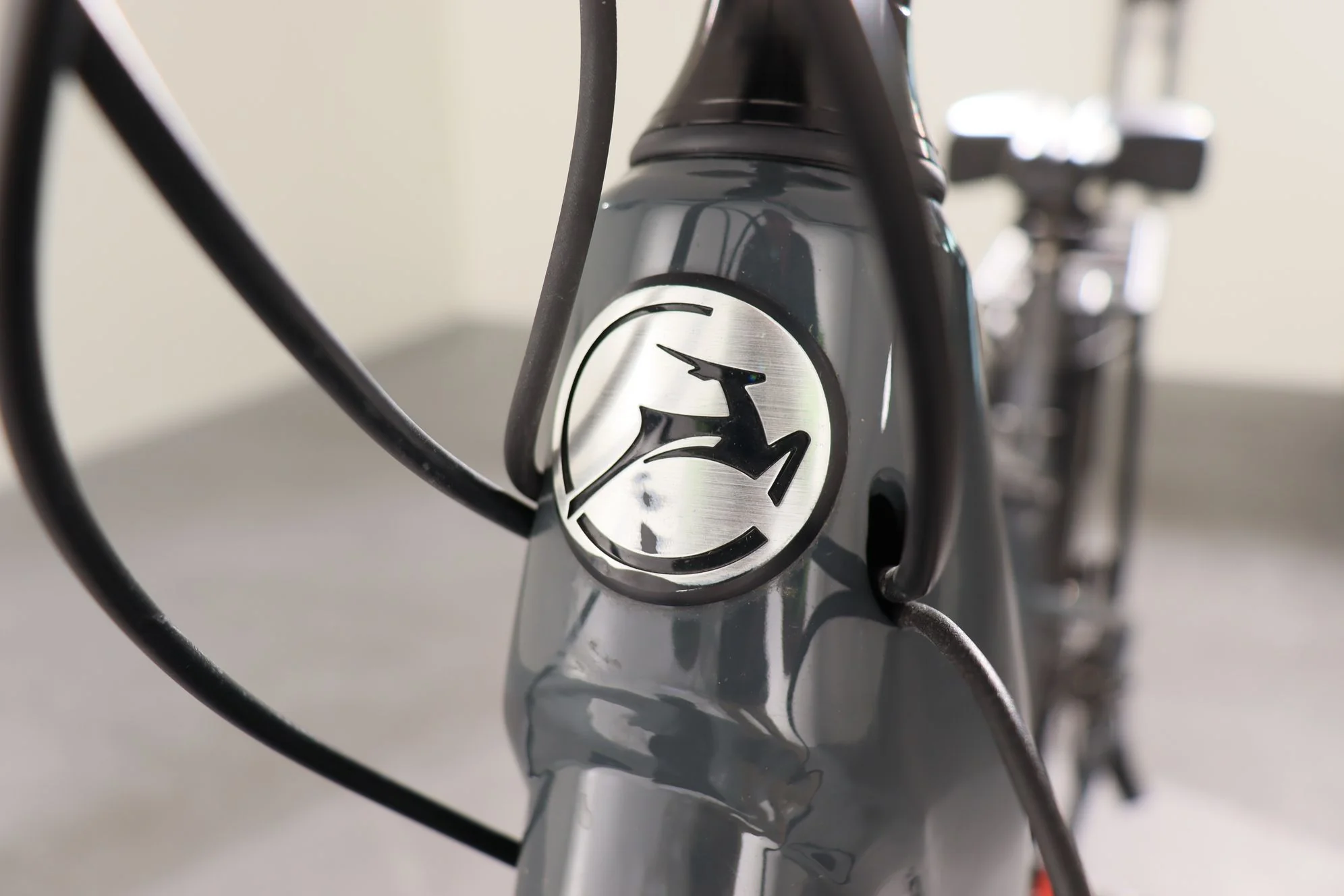 Gazelle Medeo T10 - Image 11