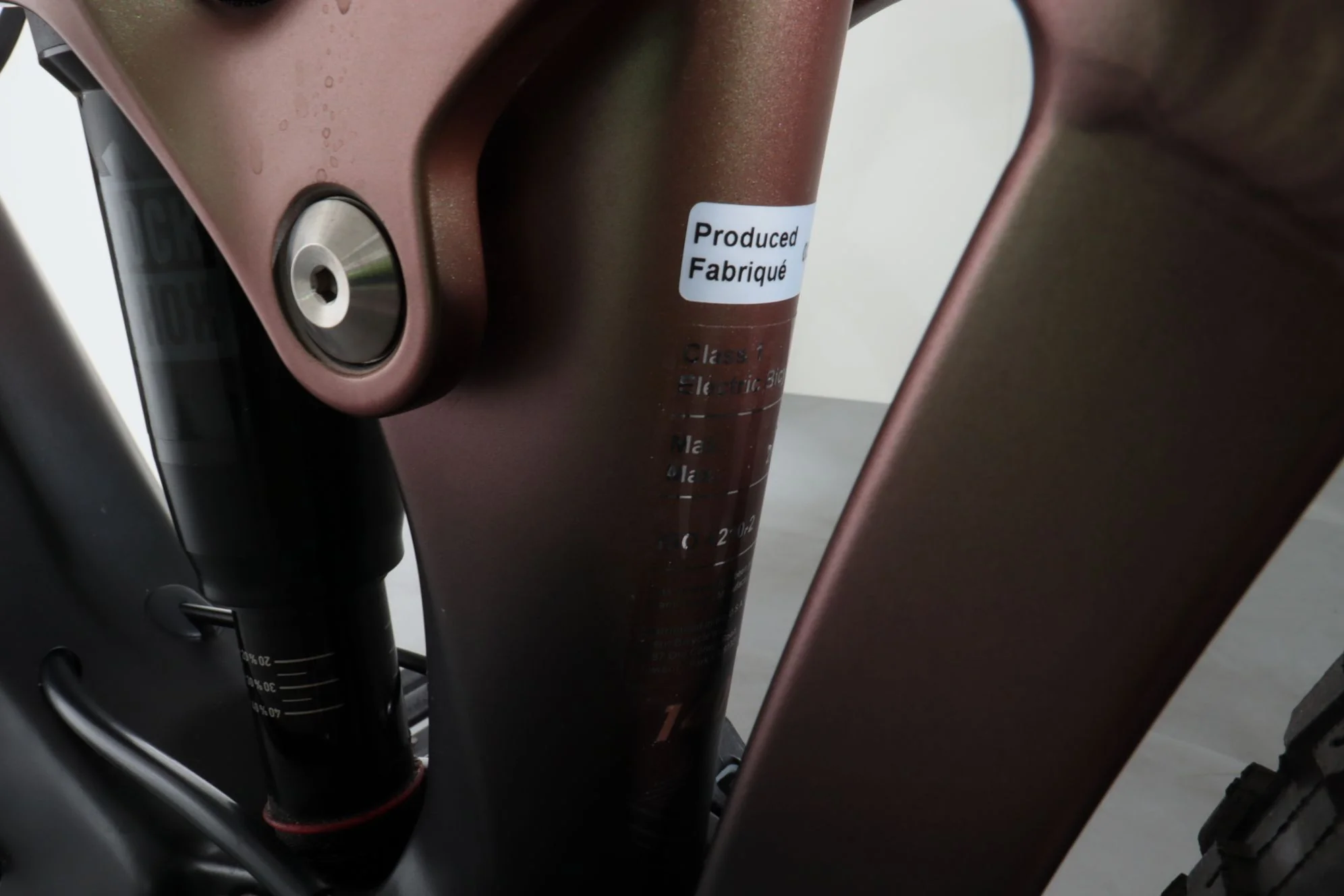 Giant Trance X Advanced E+ Elite 3 - Image 9